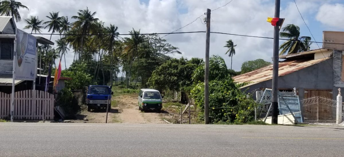 Land for sale at Palmyra Public Road, Guyana