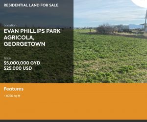 Land for Sale in Agricola, Georgetown