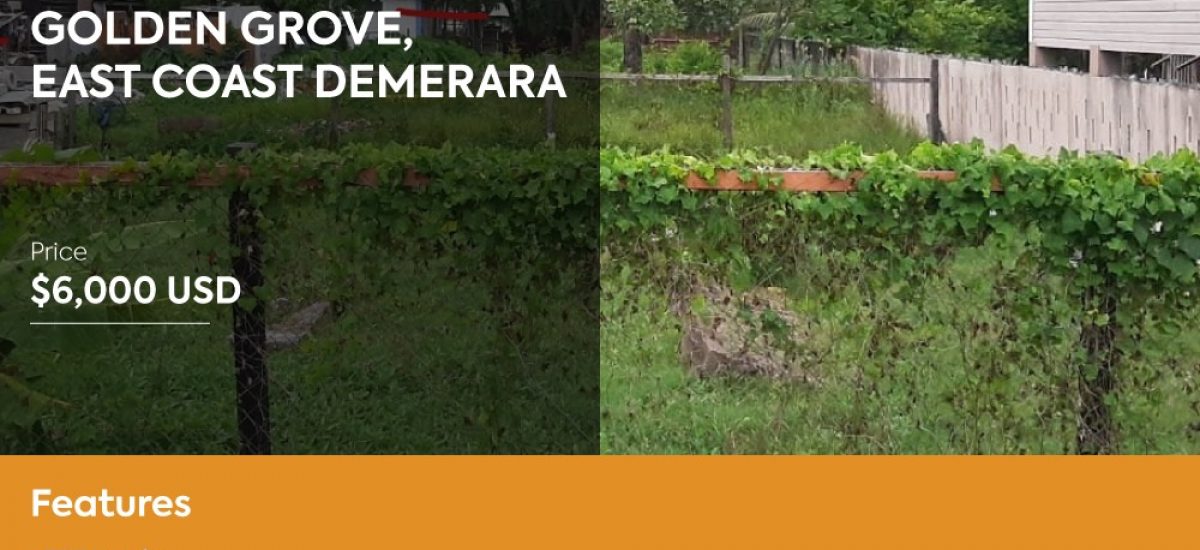 Commercial Land for Rent in East Bank Demerara, Guyana