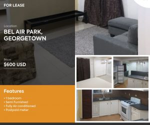 Home for Rent in Bel Air Park, Georgetown